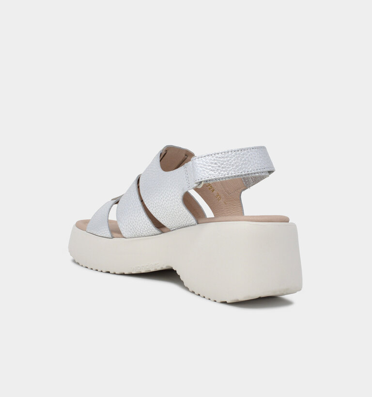 Wonders WONDERS D-9724 MAX PLATA