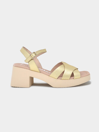 Wonders WONDERS D-1001 MAX PLATINO