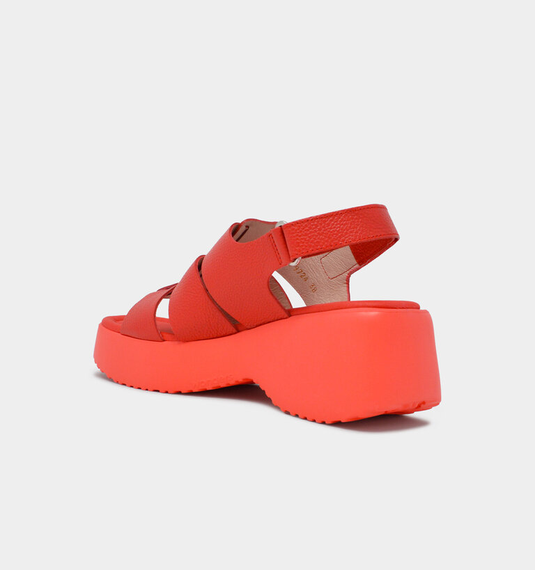 Wonders WONDERS D-9724 WILD ROJO