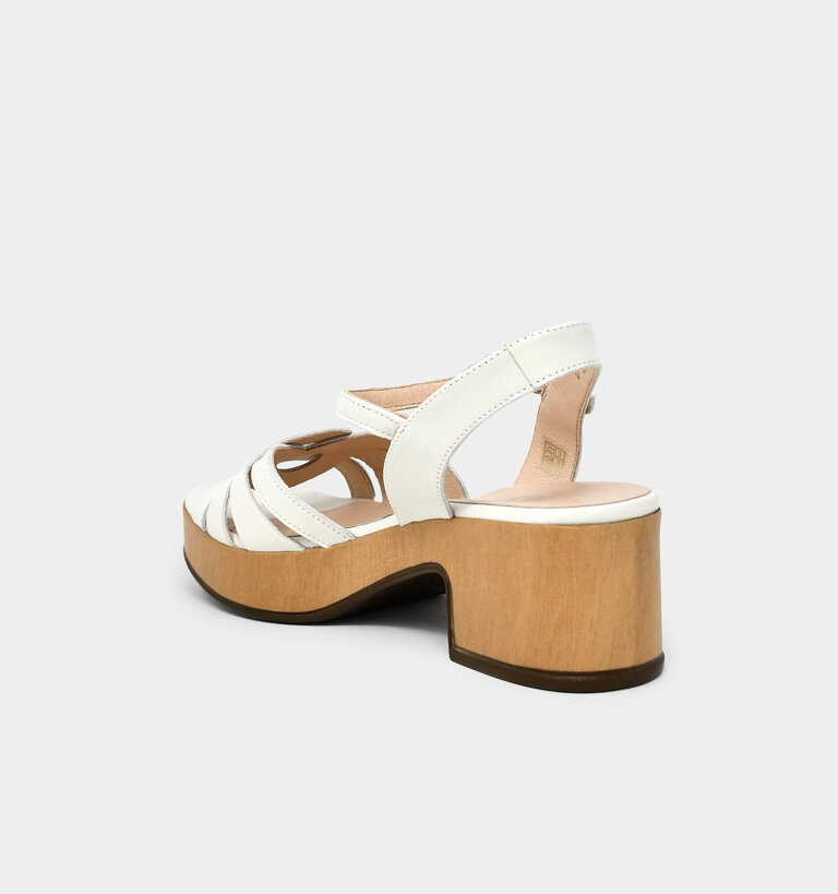 Wonders WONDERS D-8851 TOKAT OFF