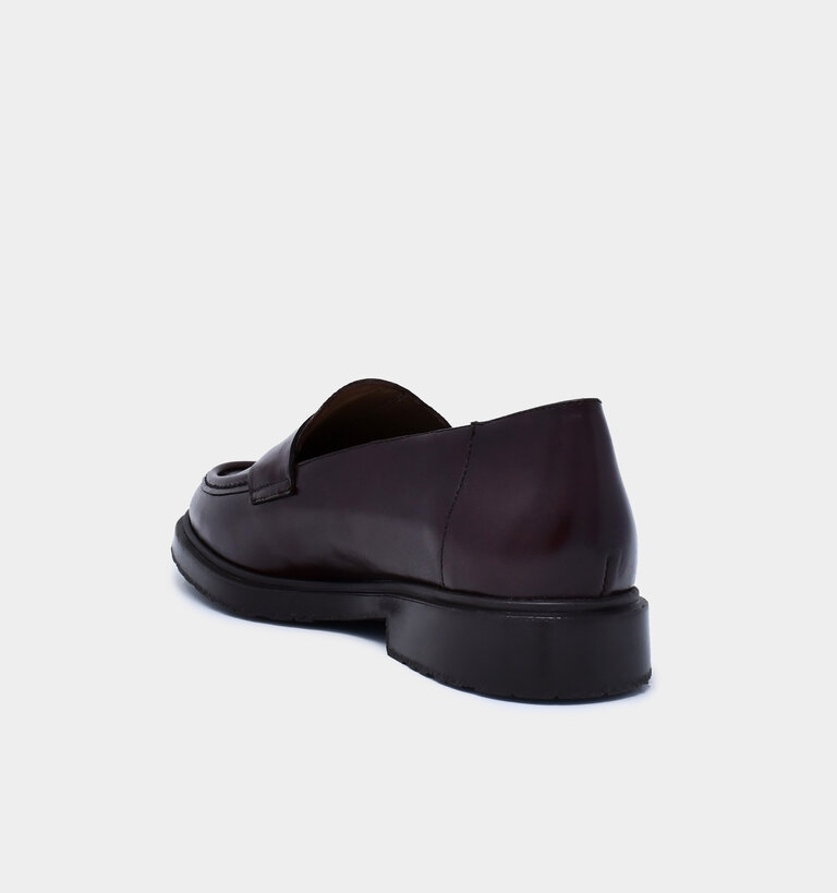 Wonders WONDERS B-9104 OREGON TESTA