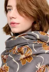 Princesse et Dragon Lily