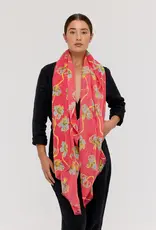 Princesse et Dragon Lily