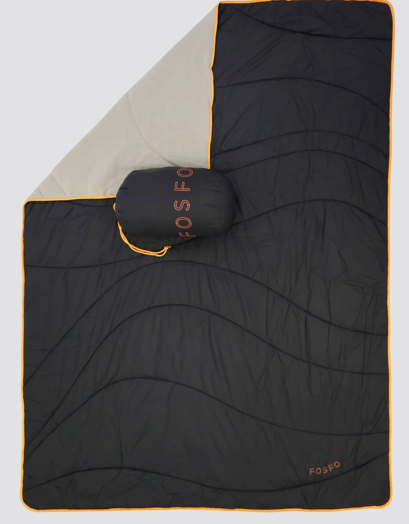 Audvik FS25 couverture