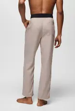 Prana Vaha Balance