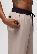 Prana Vaha Balance