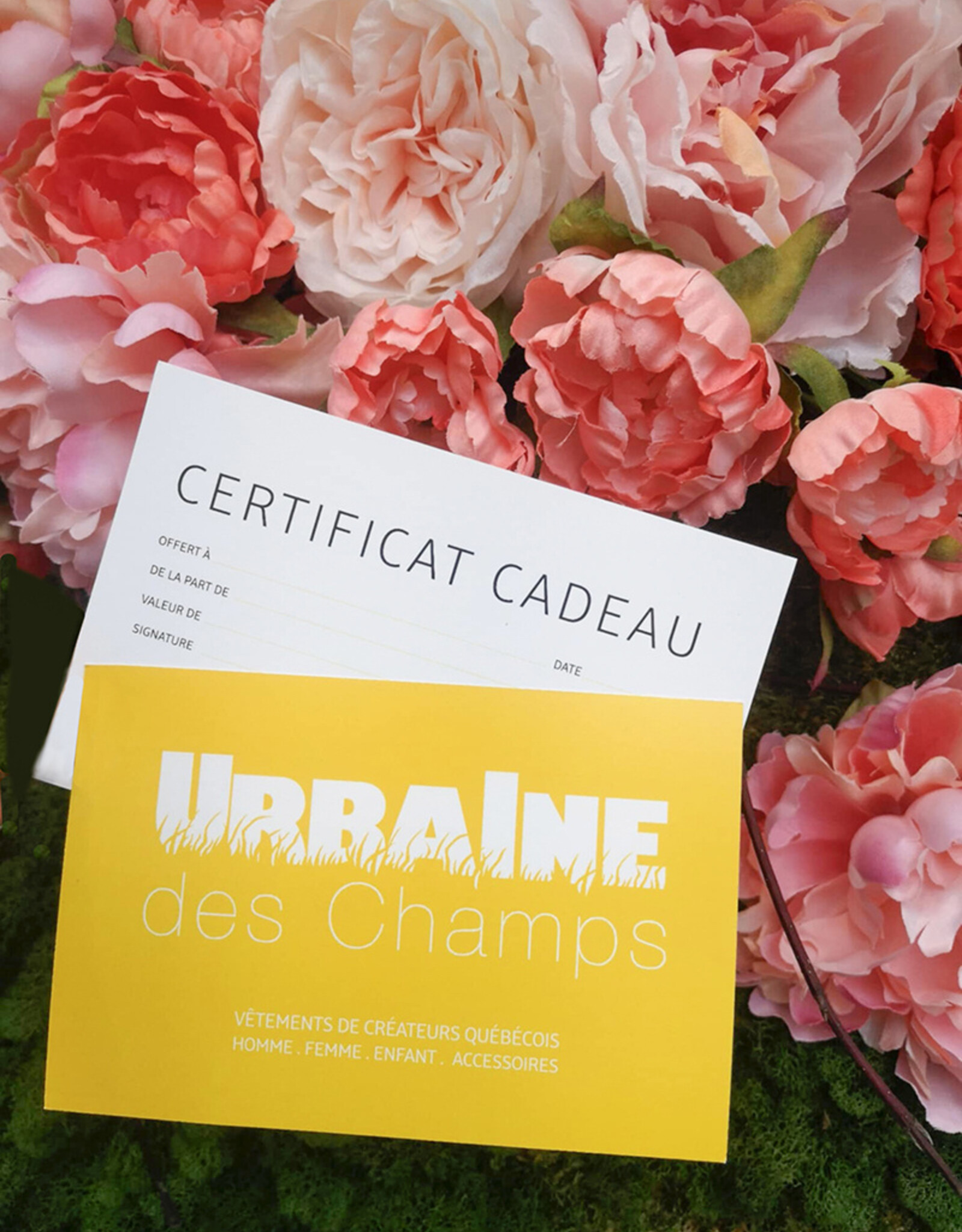 Certificat cadeau à $25.00