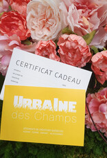 Certificat cadeau à $300.00