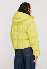 Audvik FS10078 Shorty