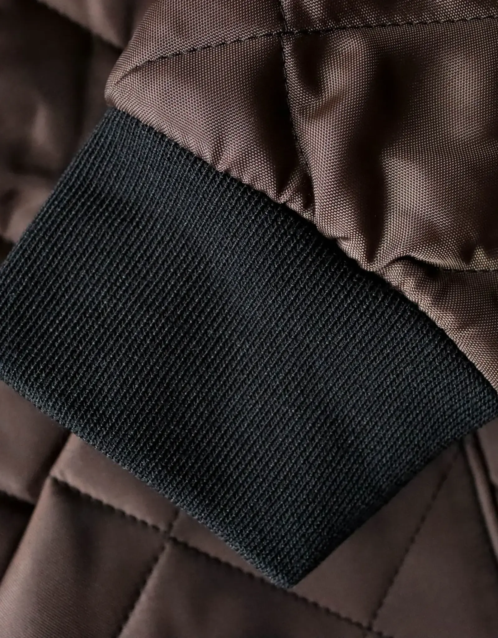 Bedi Blouson matelassé Chinook