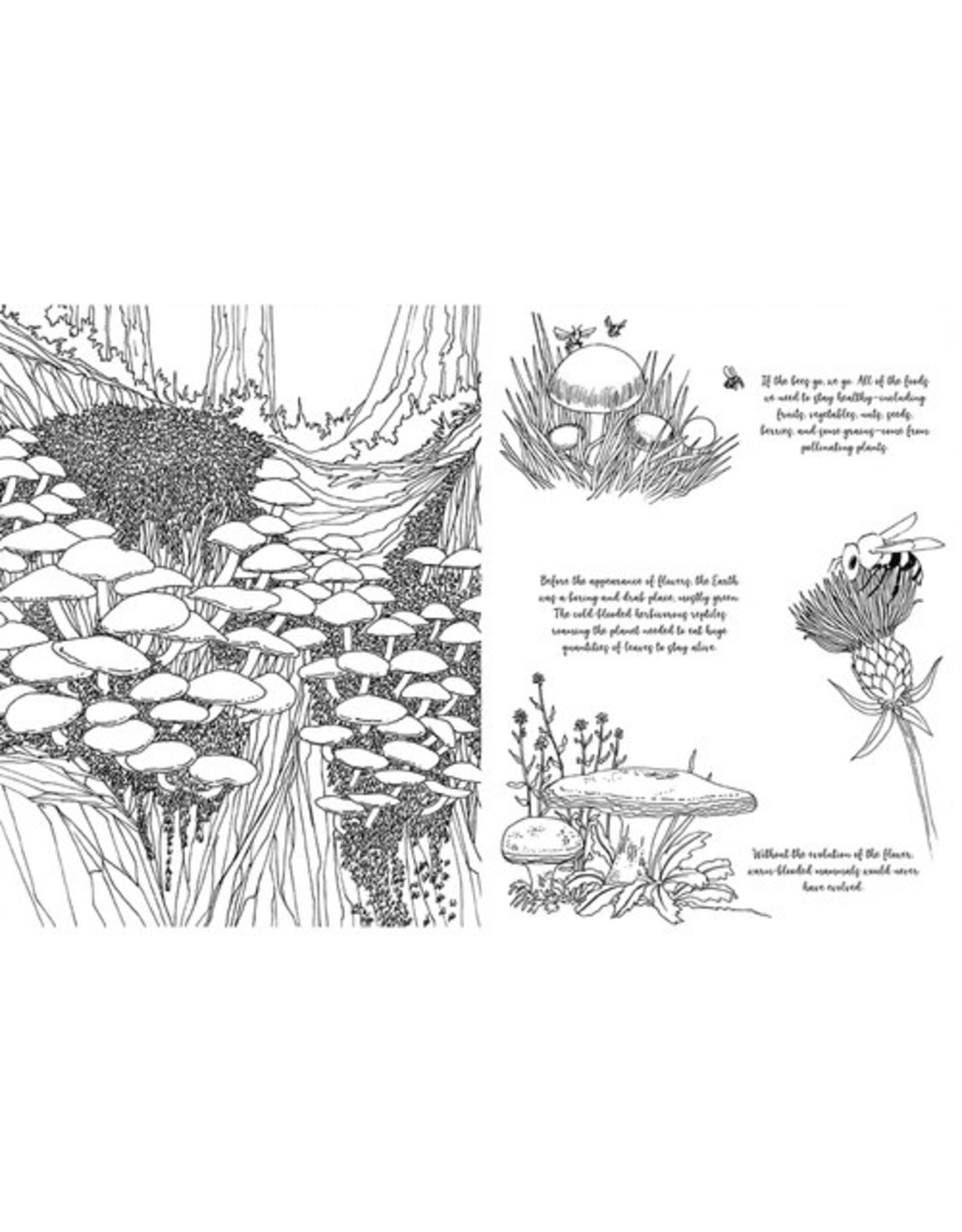 Miscellaneous Rohan Danial Eason - Fantastic Fungi: The Colouring Book