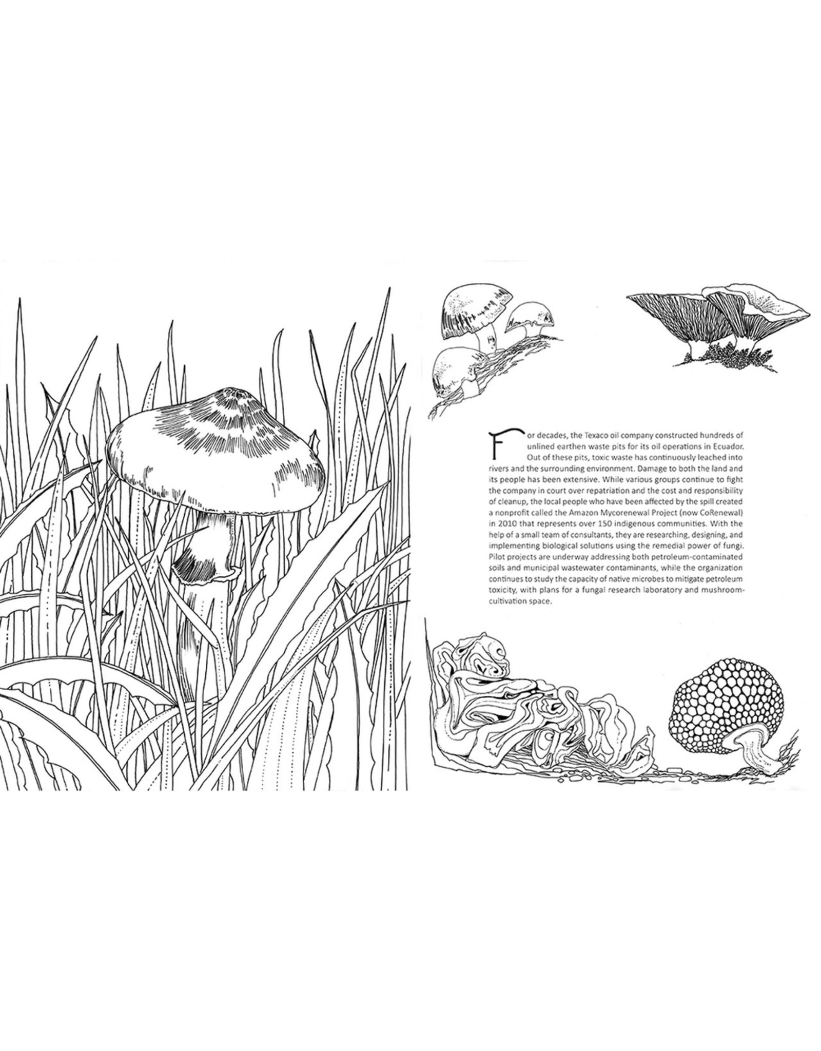 Miscellaneous Rohan Danial Eason - Fantastic Fungi: The Colouring Book