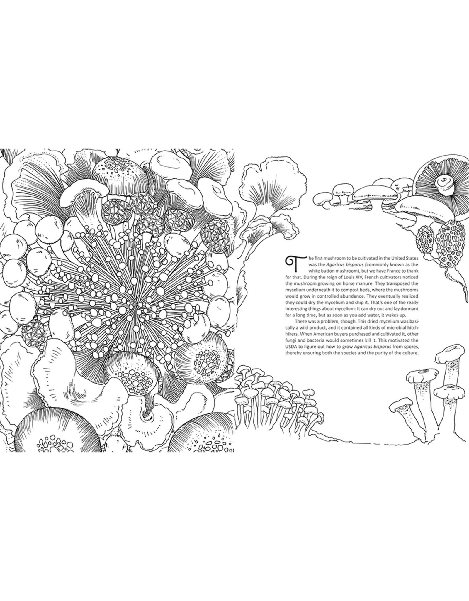 Miscellaneous Rohan Danial Eason - Fantastic Fungi: The Colouring Book