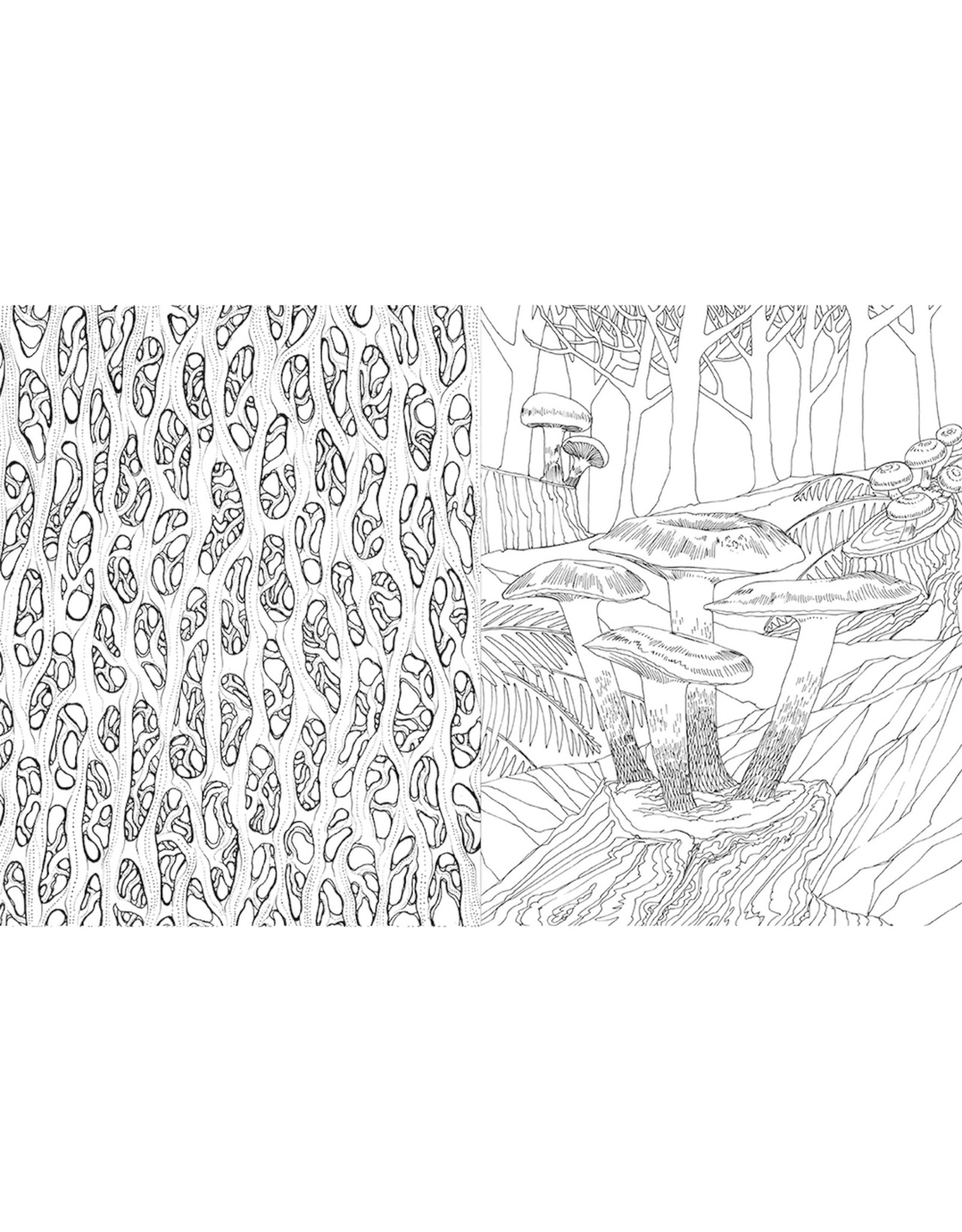 Miscellaneous Rohan Danial Eason - Fantastic Fungi: The Colouring Book
