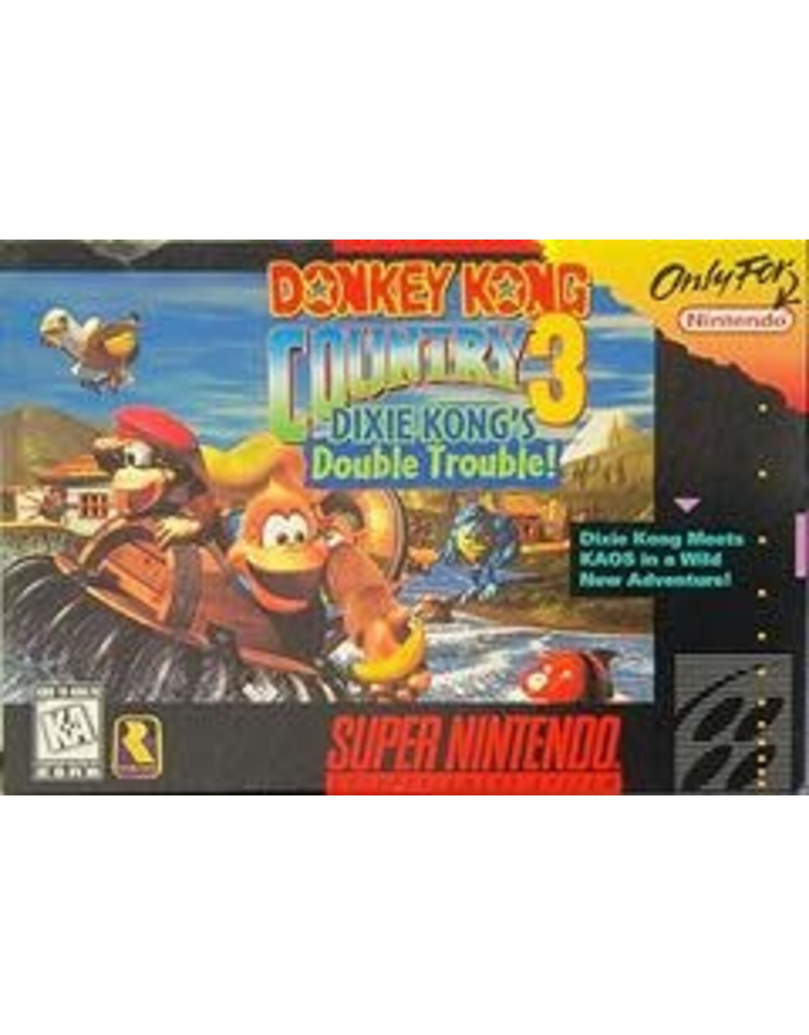 Nintendo Used Game - SNES - Donkey Kong Country 3: Dixie Kong's Double Trouble [Cart Only]