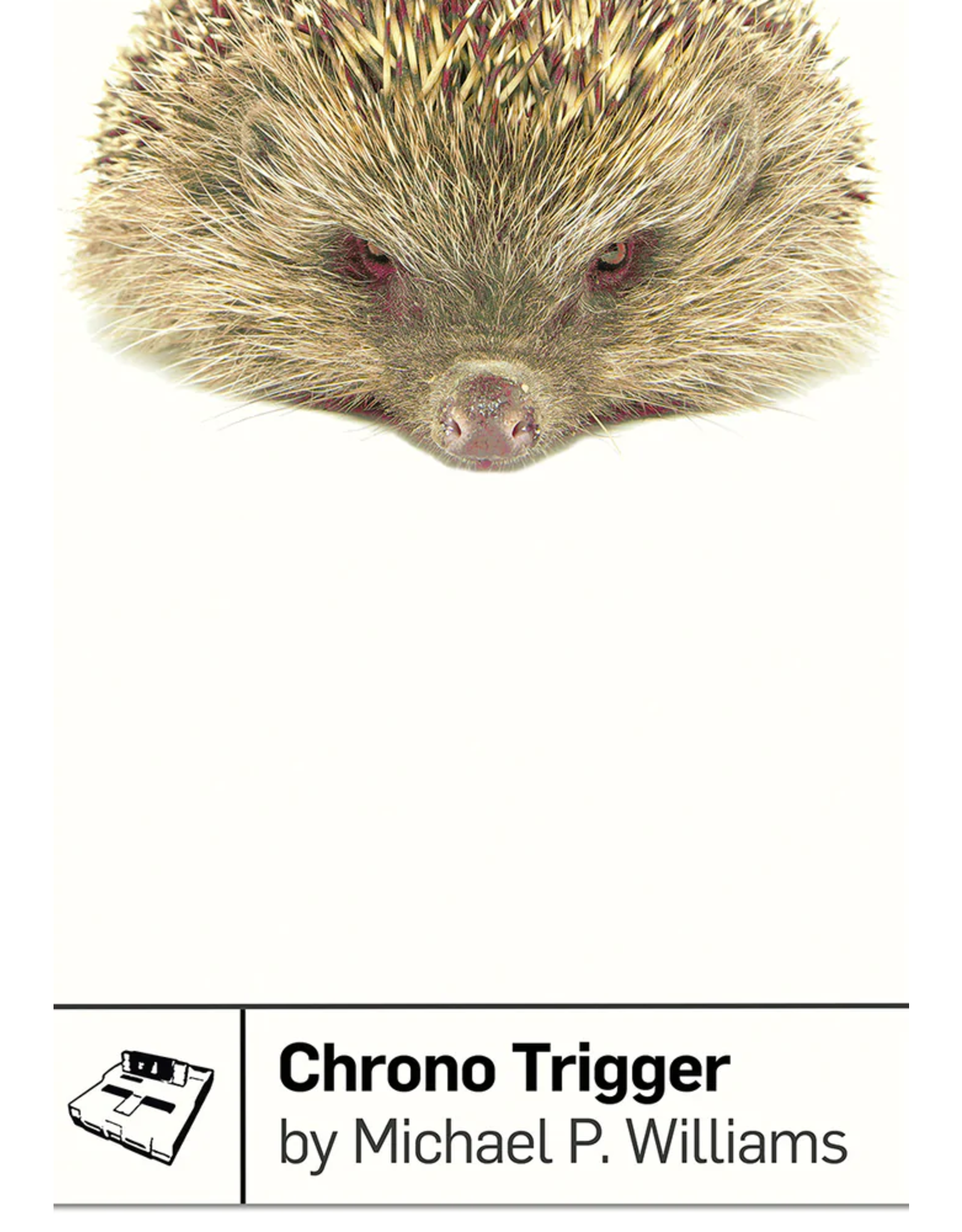 **CLEARANCE** Chrono Trigger - Michael P. Williams
