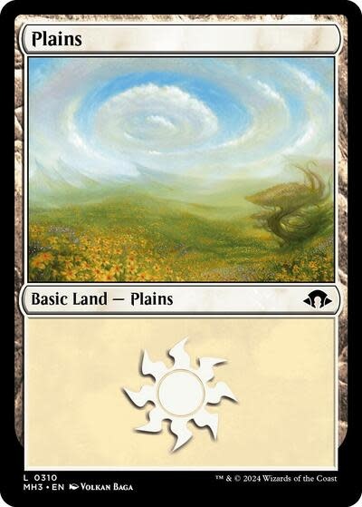 Plains (0310) (Normal, L)