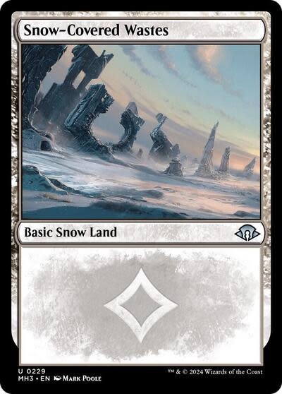 Snow-Covered Wastes (0229) (Normal, U)