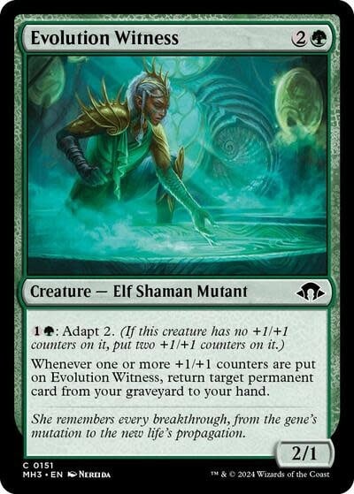 Evolution Witness - 151 (Foil, C)