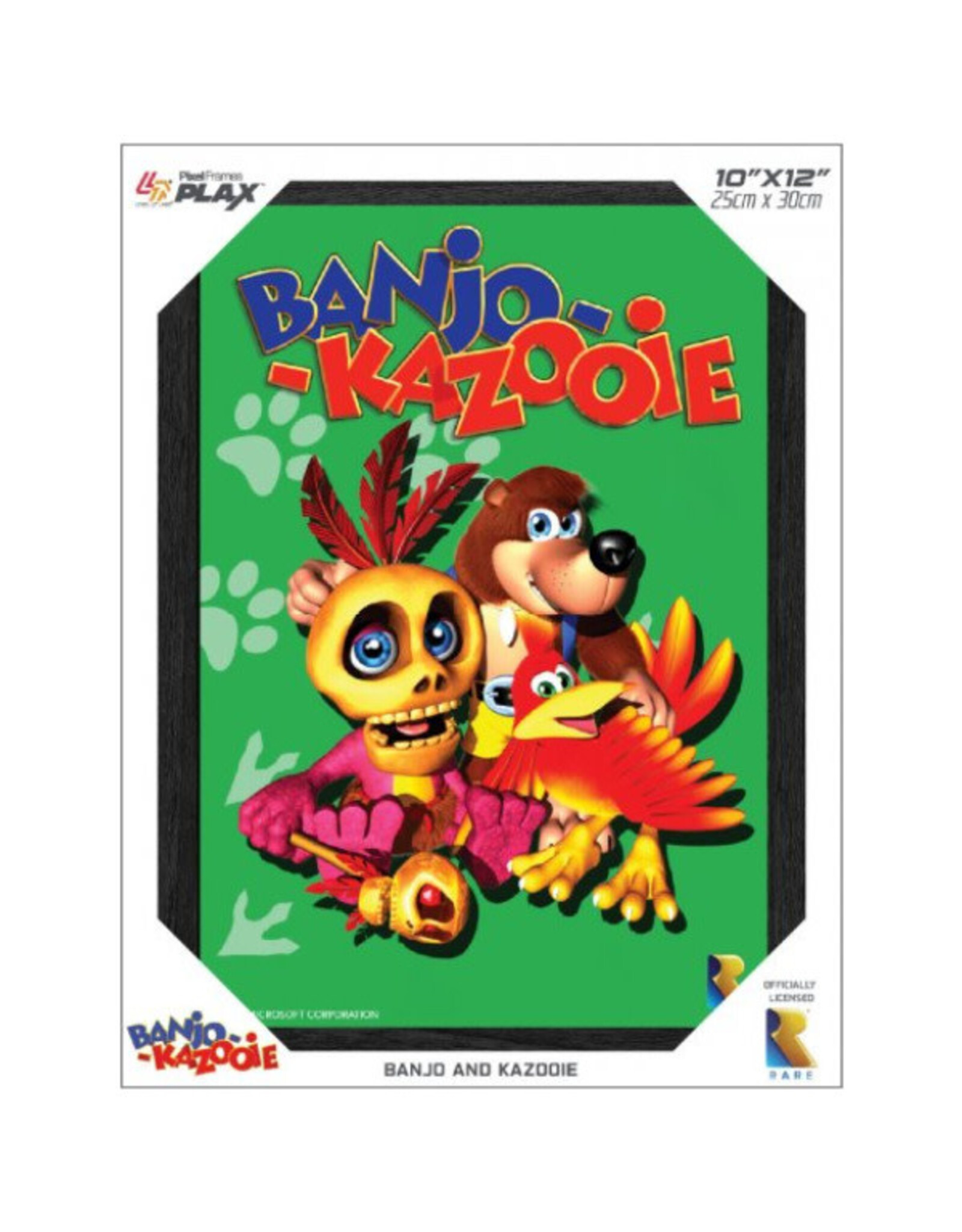 Pixelframe Pixelframe Plax - Banjo-Kazooie - 10"x12"