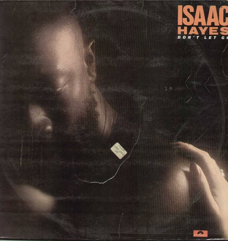 **CLEARANCE** Used Vinyl - Isaac Hayes - Don't Let Go