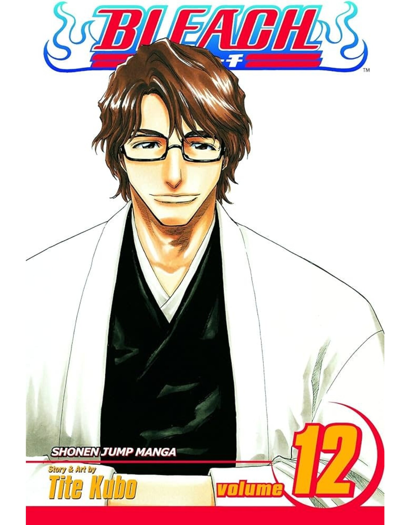 Bleach - Vol. 12