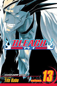 Bleach - Vol. 13