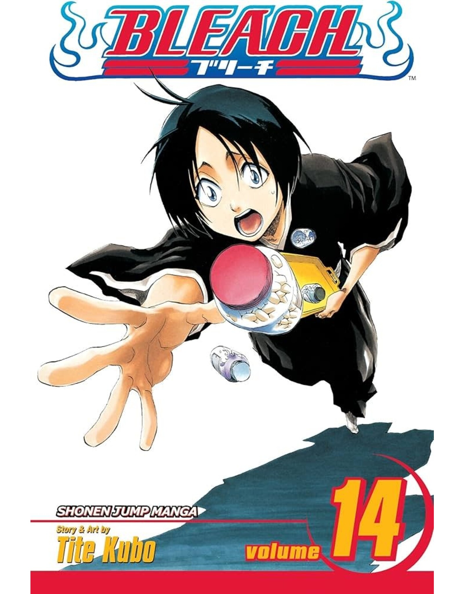 Bleach - Vol. 14