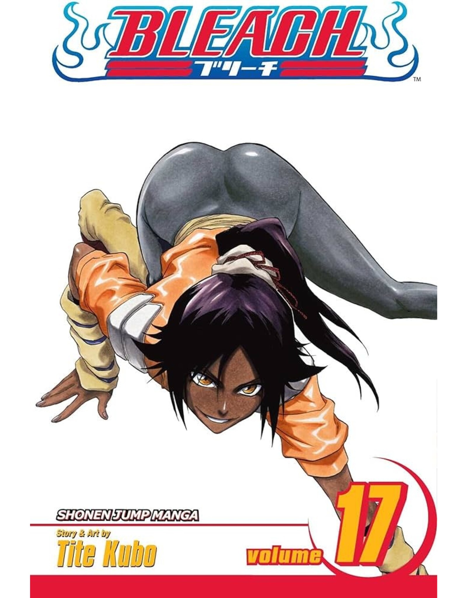 Bleach - Vol. 17