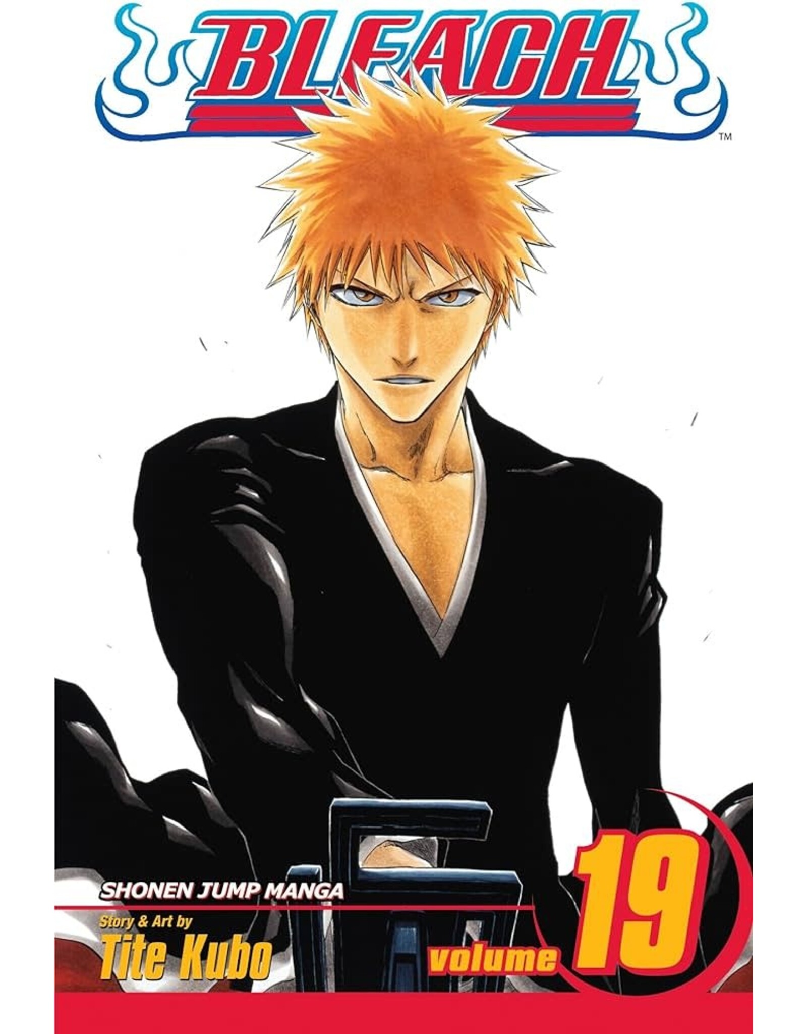 Bleach - Vol. 19