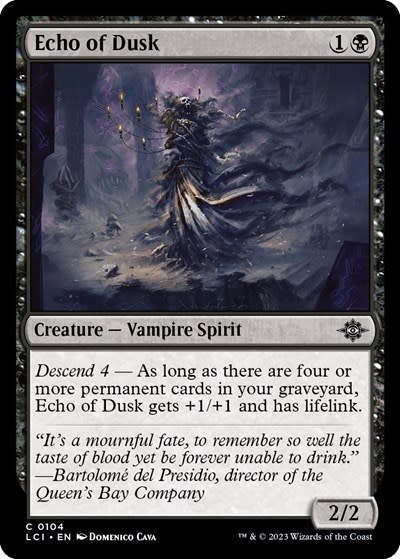 Echo of Dusk - 104 (Normal, C)