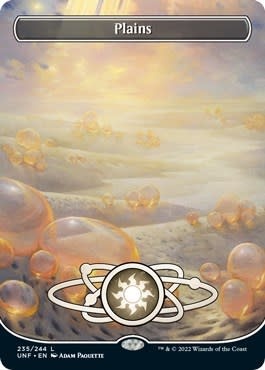 Plains (235) (Borderless) (Normal, L)