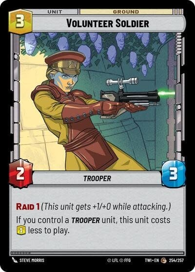 Volunteer Soldier - 254/257 (Normal, Common)