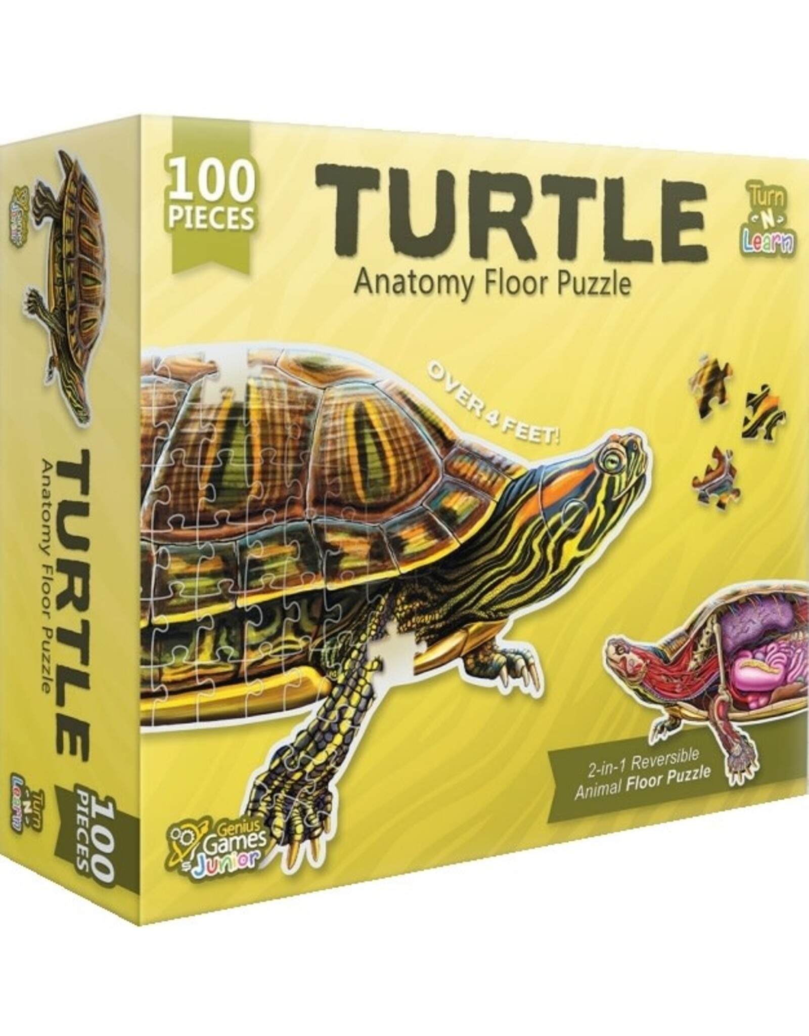 Turtle 100 Piece Anatomy Floor Puzzle