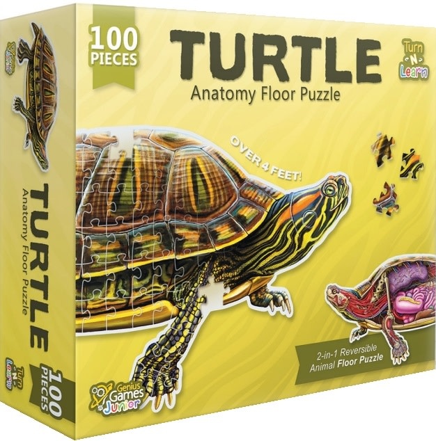 Turtle 100 Piece Anatomy Floor Puzzle