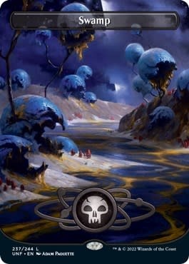 Swamp (237) (Borderless) (Normal, L)