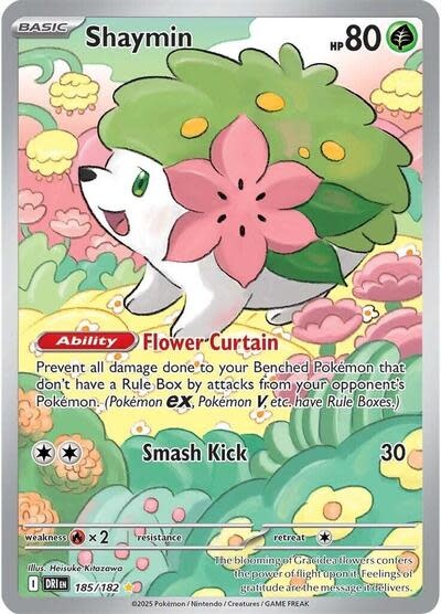 Shaymin - 185/182 (Holofoil, Illustration Rare)