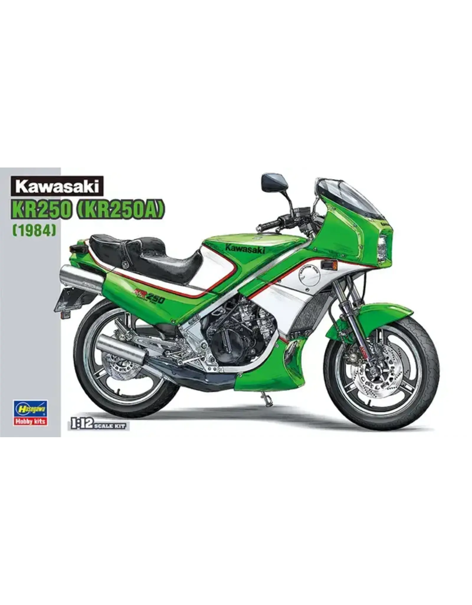 Kawasaki (KR250A) Scale Model Kit (1:12)