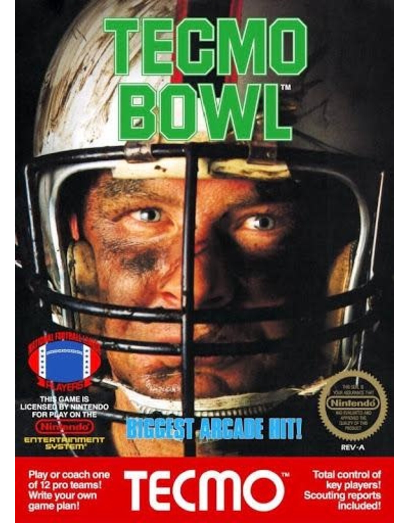 Tecmo Bowl (NES) [Cart Only]