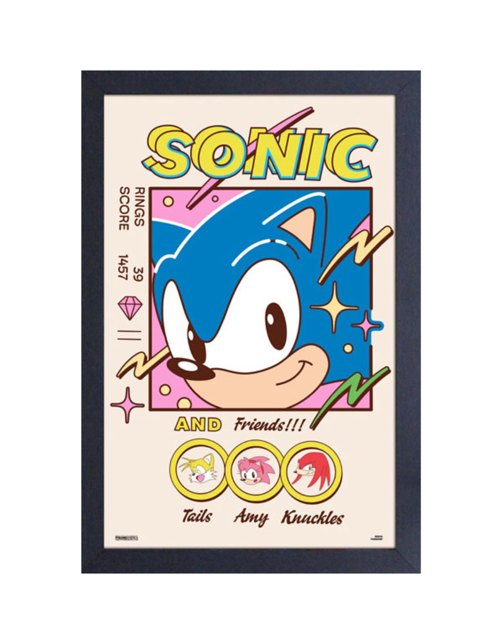 Pyramid America Sonic The Hedgehog -  Sonic & Friends 11" x 17" Framed Print