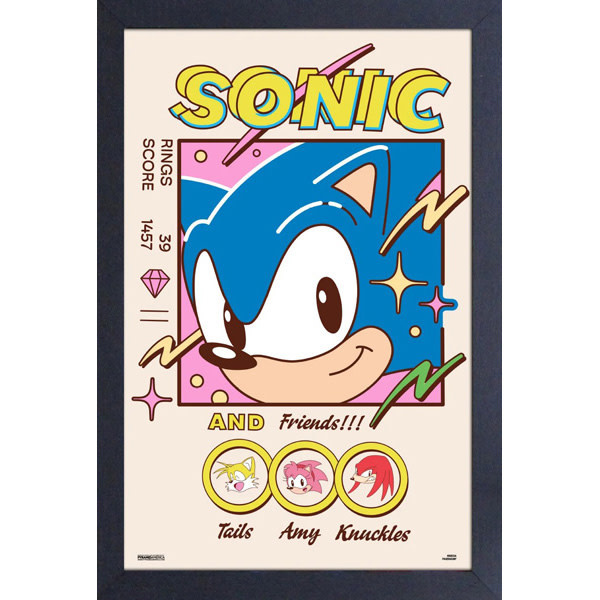 Pyramid America Sonic The Hedgehog -  Sonic & Friends 11" x 17" Framed Print