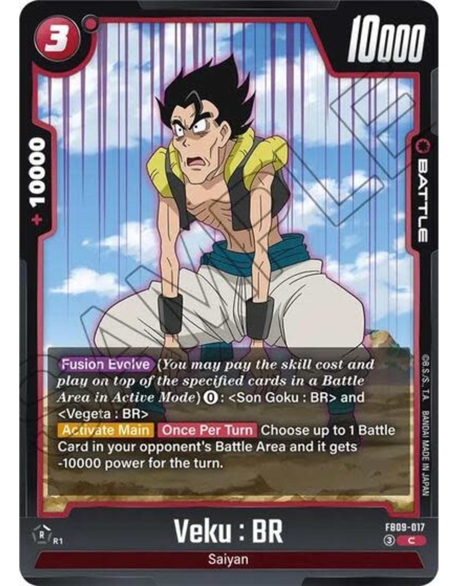 Veku : BR - FB09-017 (Normal, Common)