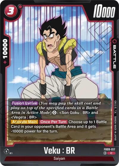 Veku : BR - FB09-017 (Normal, Common)
