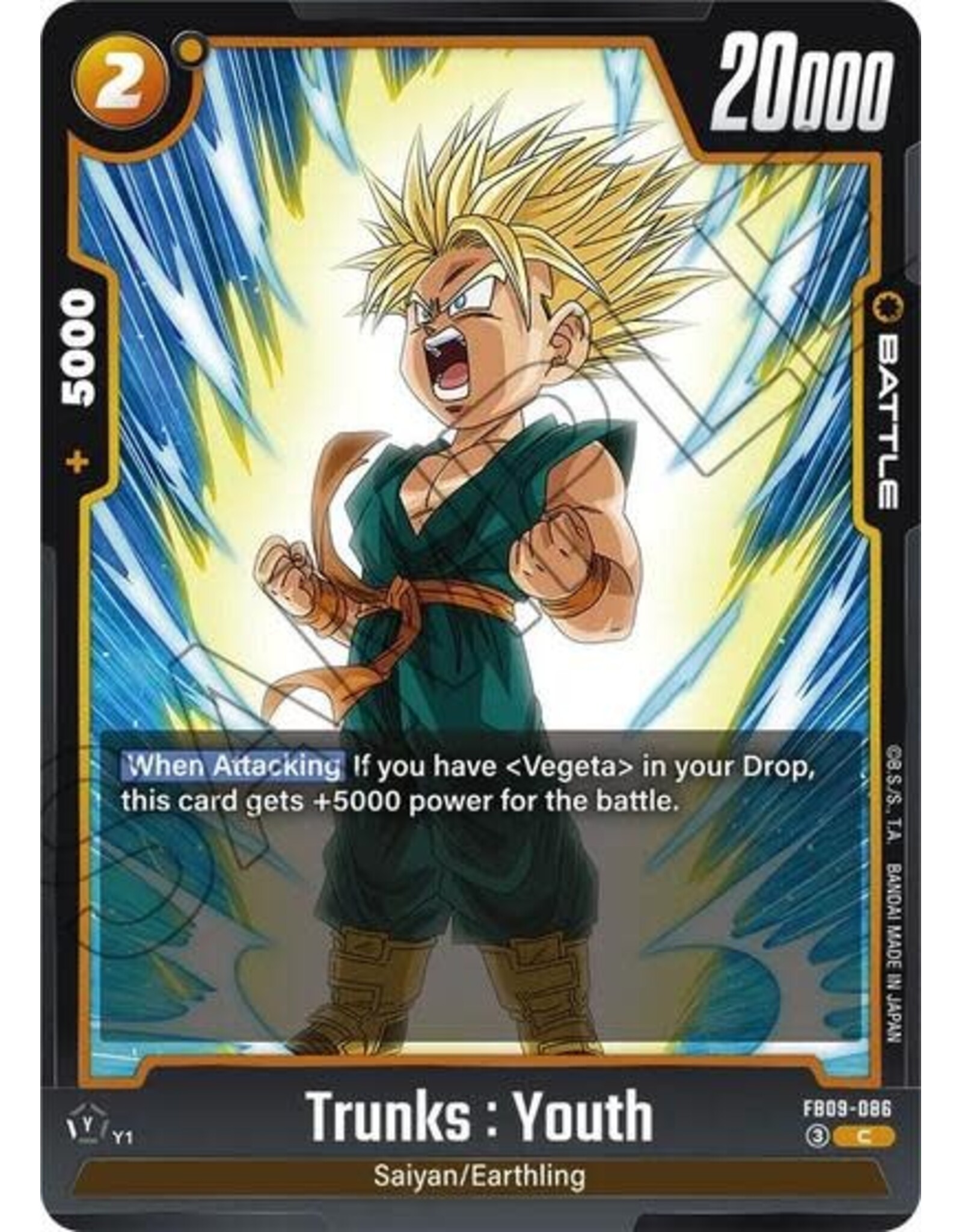 Trunks : Youth - FB09-086 (Normal, Common)