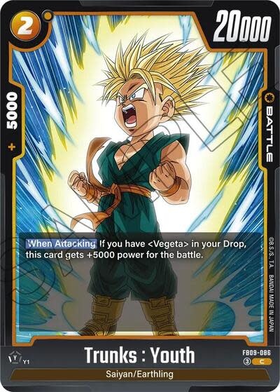 Trunks : Youth - FB09-086 (Normal, Common)