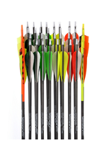 Gold Tip GOLD TIP ARROWS WARRIOR 600 4" FEATHERS