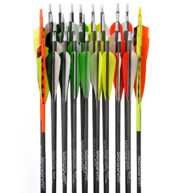 Gold Tip GOLD TIP ARROWS WARRIOR 600 4" FEATHERS