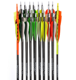 Gold Tip GOLD TIP ARROWS WARRIOR 400 4" FEATHERS
