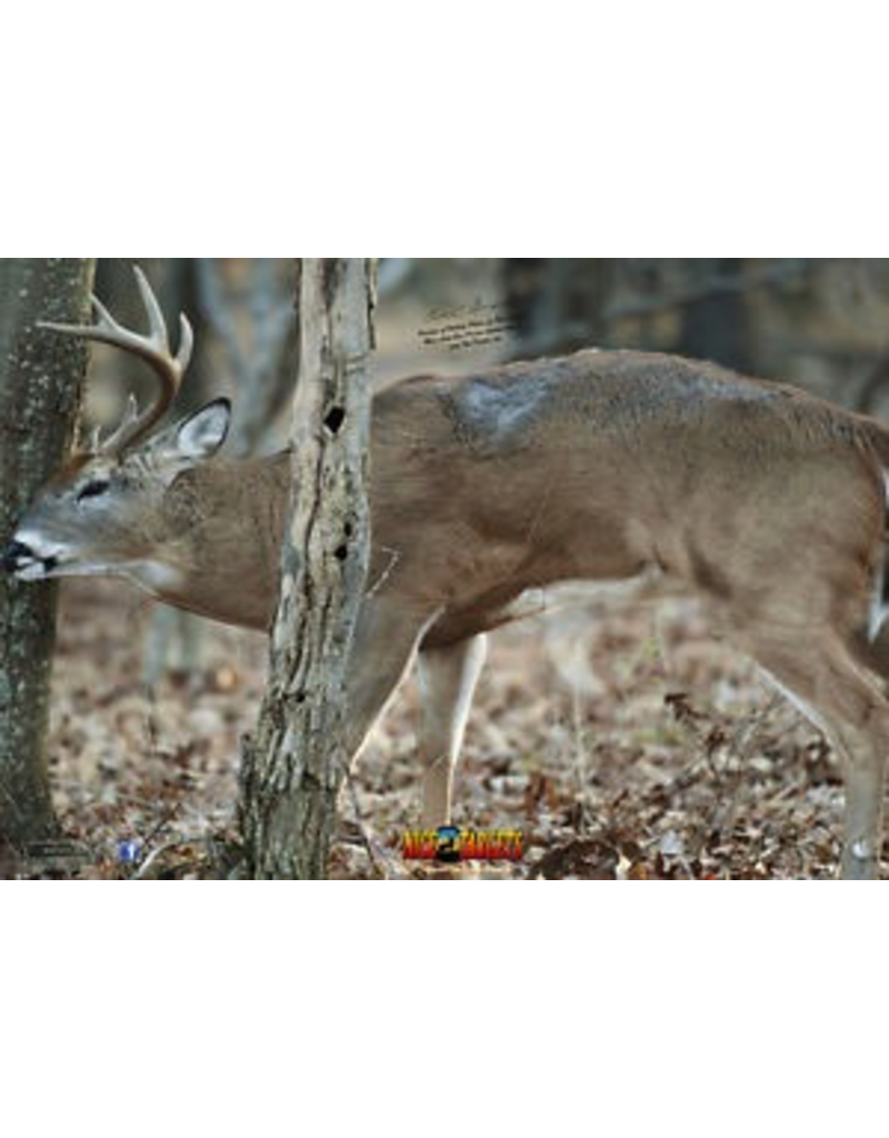 NICE TARGETS NICE TARGETS DEER FRONT TREE BUCK