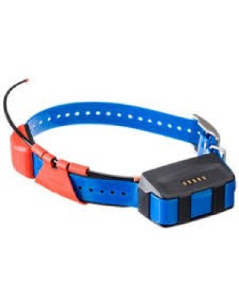 astro dog collar